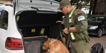 Gendarmería incautó casi 10 kilos de marihuana en Corrientes\u002E (Foto: Radio Sudamericana)
