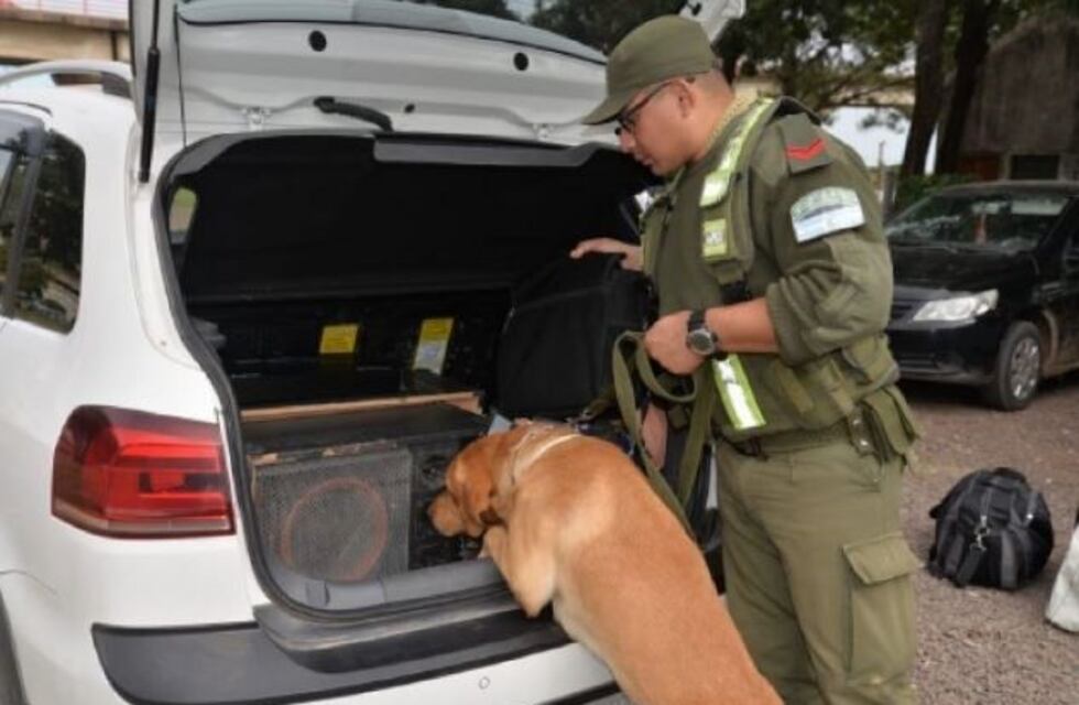 Cuatro detenidos en el puente Blegrano por transportar marihuana en un automóvil