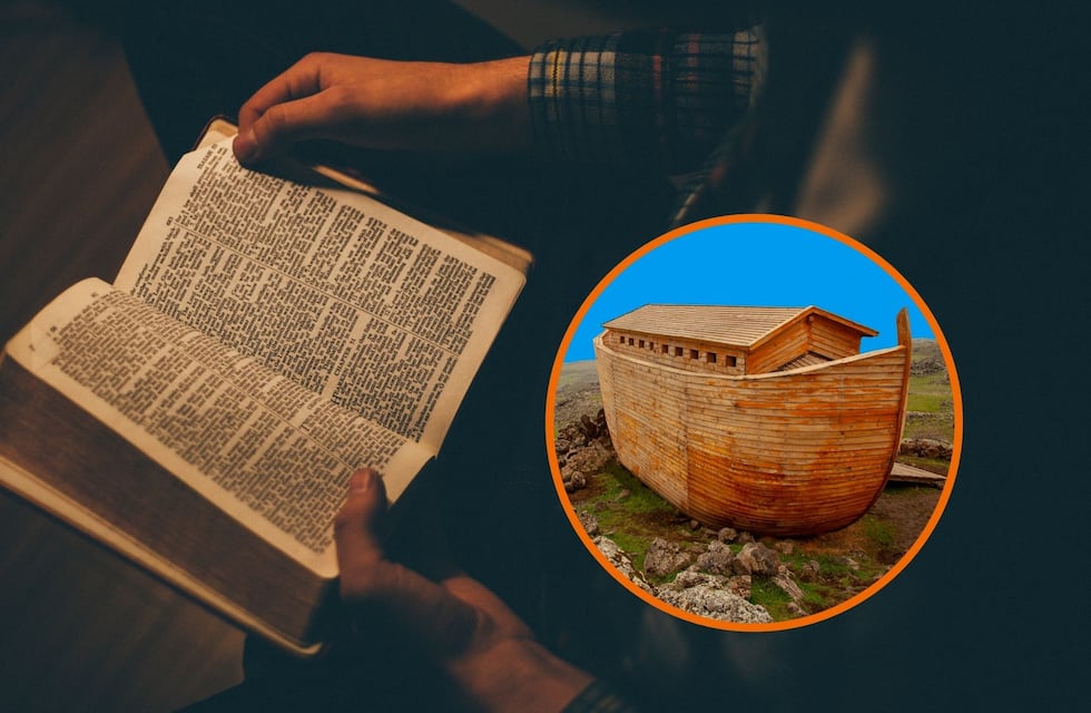 Como lo dijo la Biblia: hallan resto que confirmarían la existencia del Arca de Noé