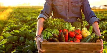 Alimentos orgánicos.