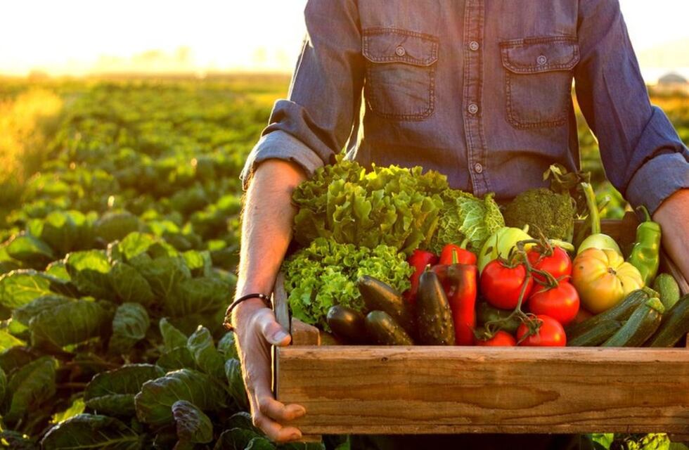 Qué es la comida orgánica y cuáles son sus saludables beneficios