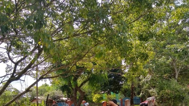 Limpieza Municipalidad de Eldorado\u002E