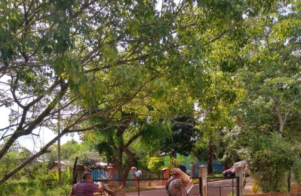 Funcionarios de Eldorado prosiguen con la limpieza de sus sectores