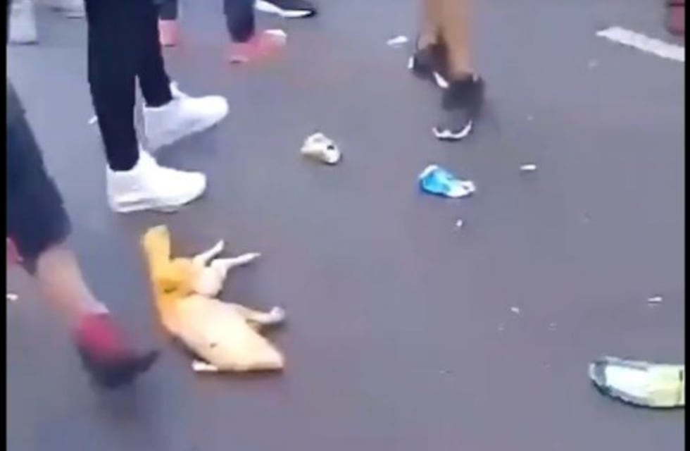 Un grupo de hinchas de River golpeó hasta matar a un chanchito con los colores de Boca