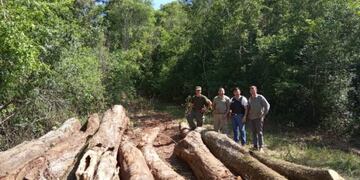 Secuestro de madera nativa en Santo Pipó\u002E