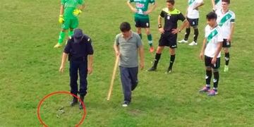Una culebra obligó a detener un partido de fútbol en Entre Ríos