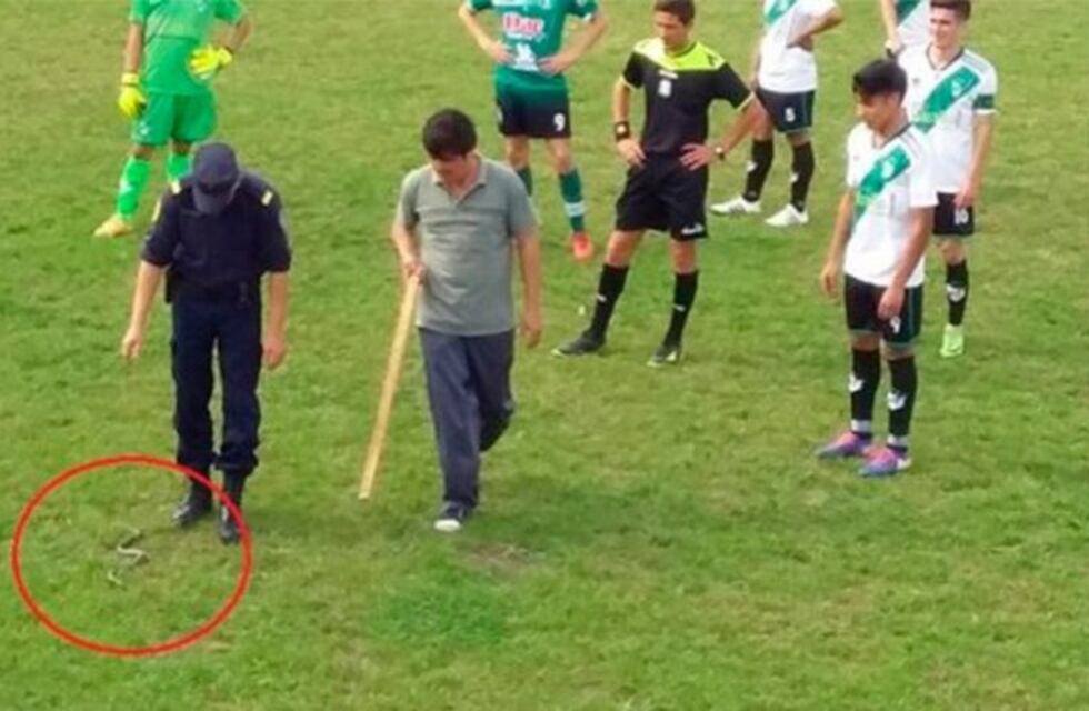 Una culebra obligó a detener un partido de fútbol en Entre Ríos
