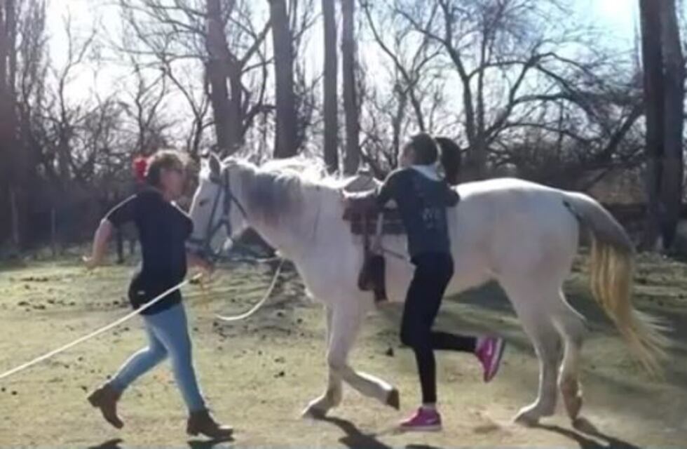Roca: robaron una yegua de equinoterapia y vendieron la carne en el barrio