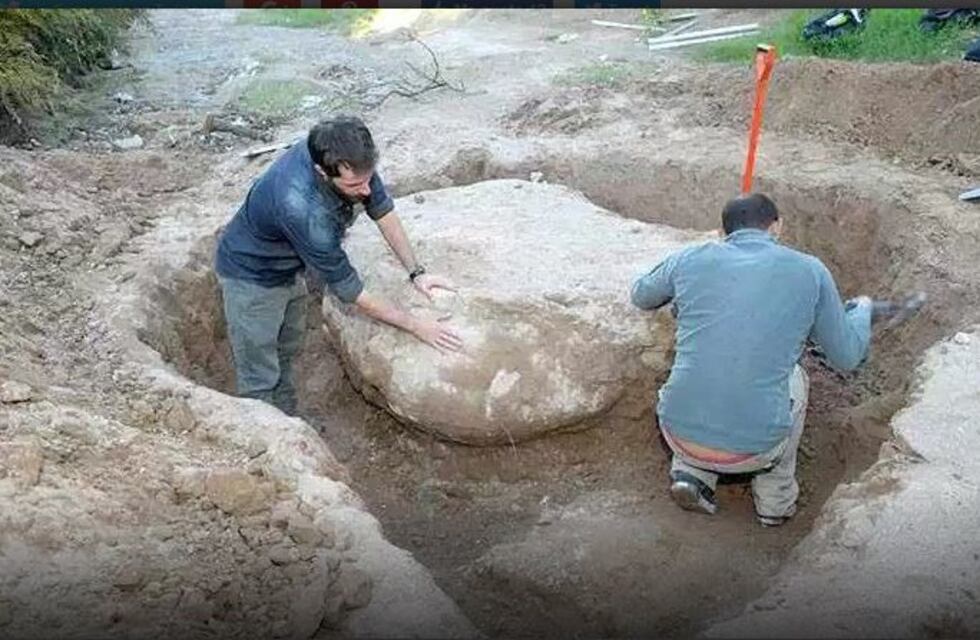 Después de las inundaciones, descubren fósiles de un gliptodonte en Santa Rosa