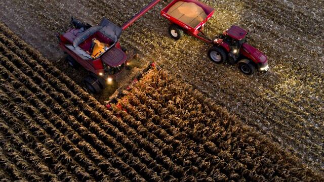 Corn is harvested with a Case IH Agricultural Equipment Inc\u002E combine harvester in this aerial photograph taken above Princeton, Illinois, U\u002ES\u002E, on Monday, Oct\u002E 9, 2017\u002E Corn futures for December delivery gained 0\u002E1% a bushel on Chicago Board of Trade\u002E Photographer: Daniel Acker/Bloomberg eeuu  cosecha de maiz cosechadora combinada Case IH Agricultural Equipment campo campos sembrados cosechadora maquinas agricolas