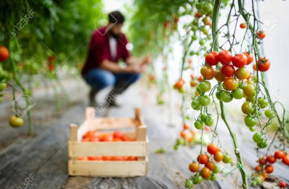 Realizarán un Campamento de Permacultura Aplicada