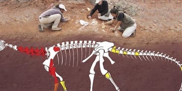 Ingentia Prima, el dinosaurio más antiguo hallado hasta el momento\u002E El fósil pesa 10 toneladas\u002E