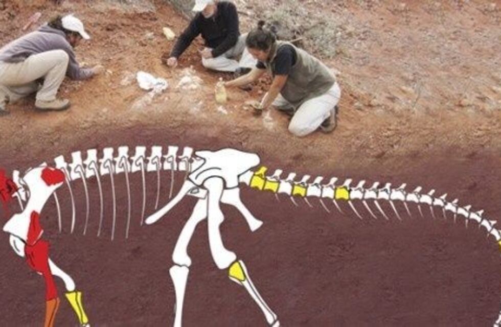 Quieren expropiar el yacimiento donde hallaron el dinosaurio gigante