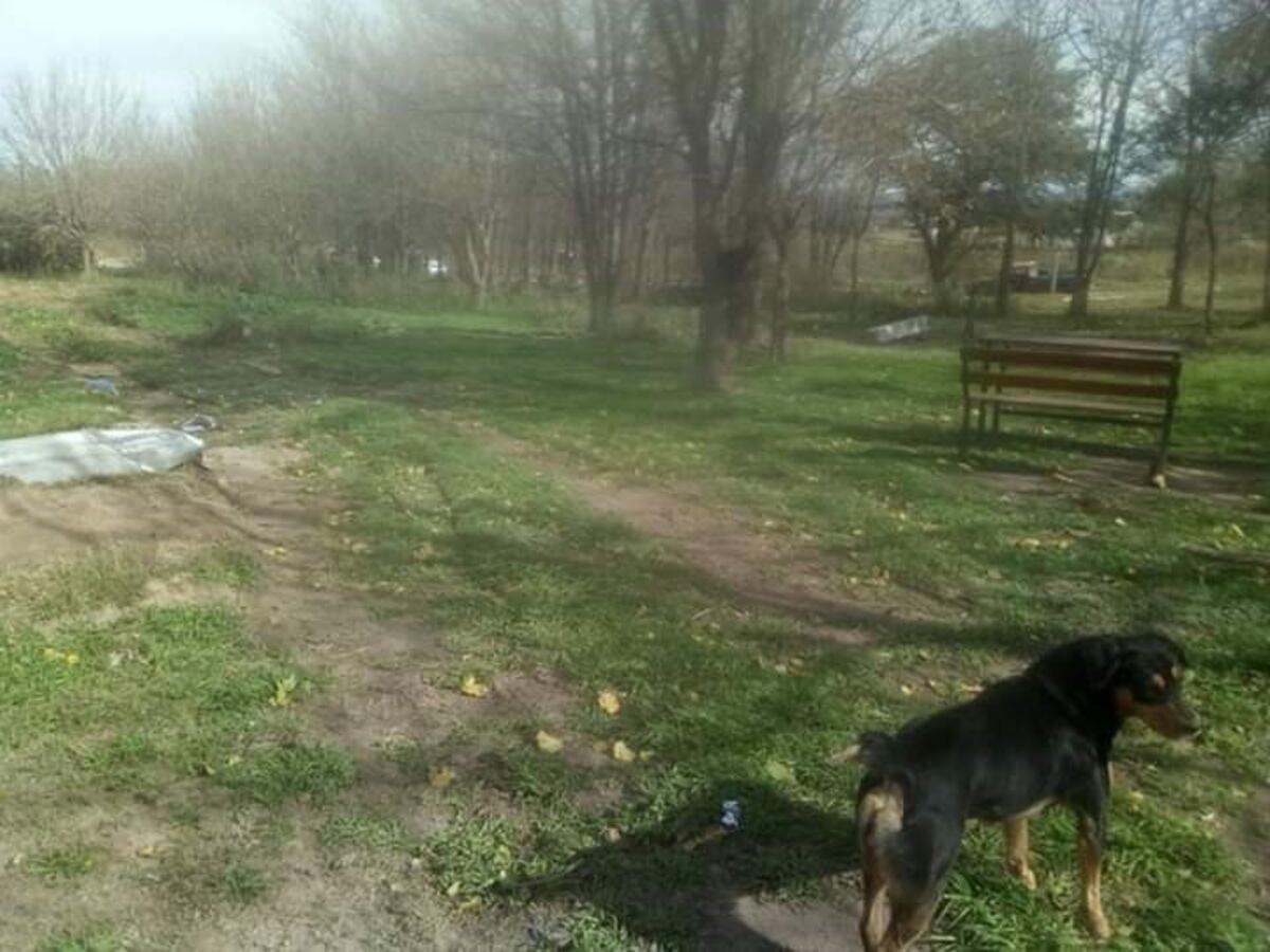 Imagen sensible\u002E Mujer herida tras la riña por el terreno\u002E