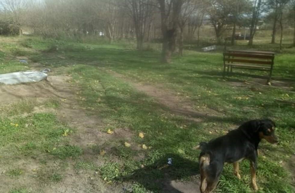 Anisacate: dos mujeres heridas tras discutir por un terreno