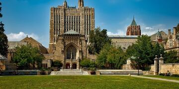 El médico reconocido\u002E