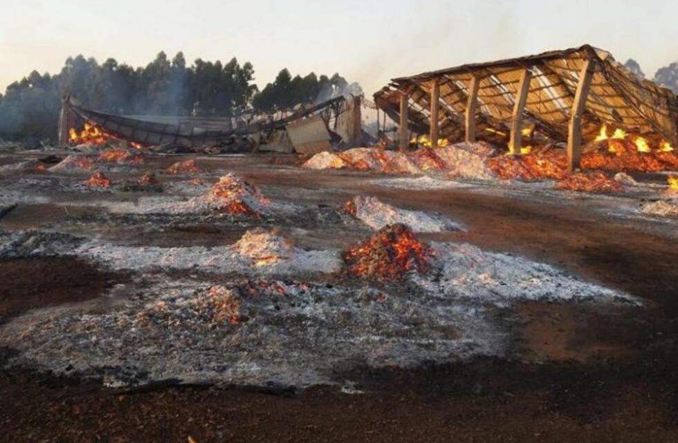 Apuntan a que el incendio en la maderera de Montecarlo fue intencional