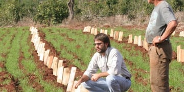 Mejora en la plantación de yerba, té y otros productos en Misiones a in de mejorar la competitividad-}\u002E