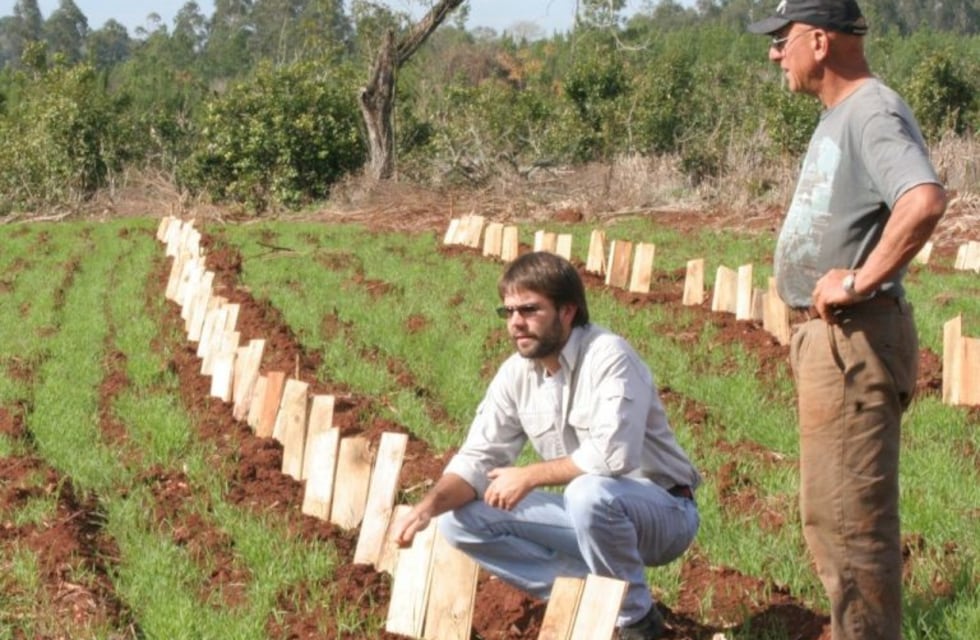 Invitan a las pymes agroalimentarias al Programa de Apoyo a la Competitividad (PAC)