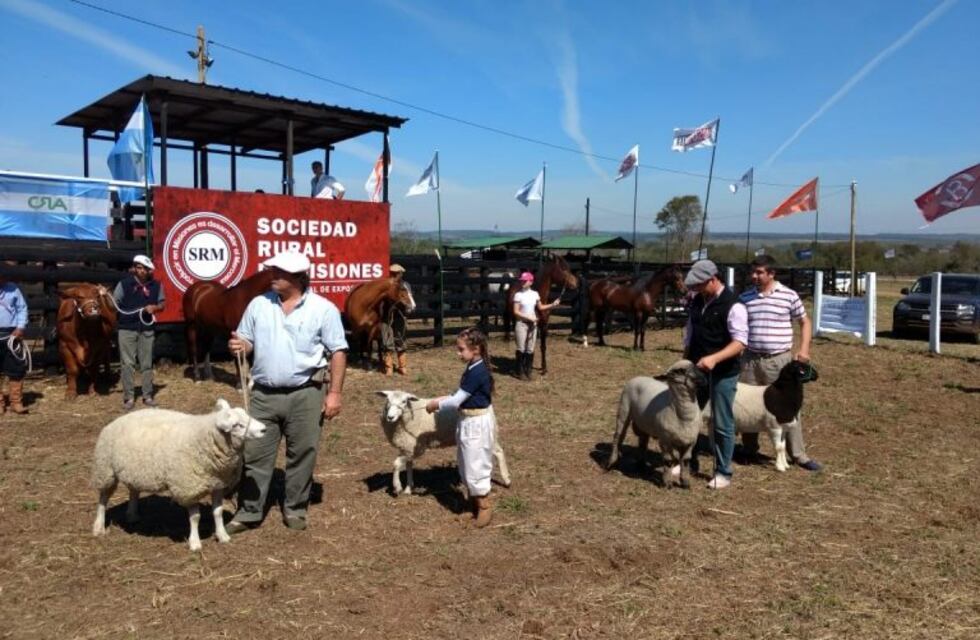 La Rural de Misiones se inauguró con el remate de 700 animales de invernada
