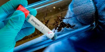 Dengue en Tucumán\u002E