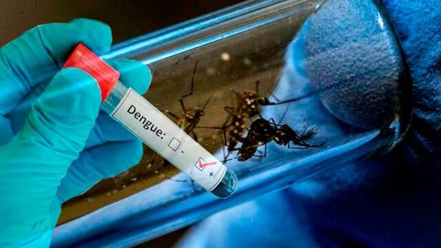 Dengue en Tucumán\u002E