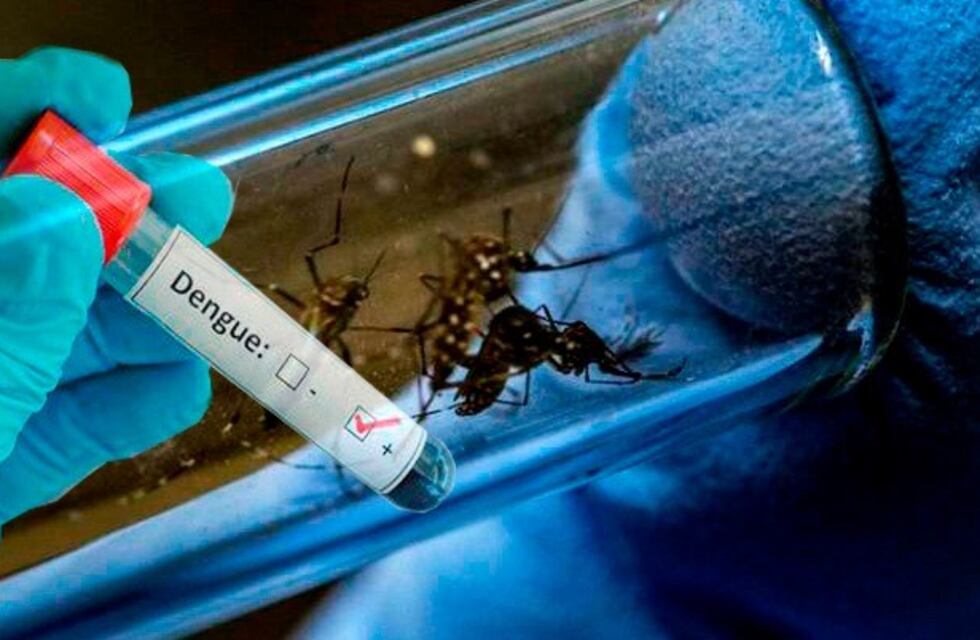 Epidemia de Dengue en Tucumán: murió una mujer de 25 años y ya son siete las víctimas fatales
