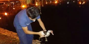 Voluntario de Fundación ADMA Alta Gracia\u002E