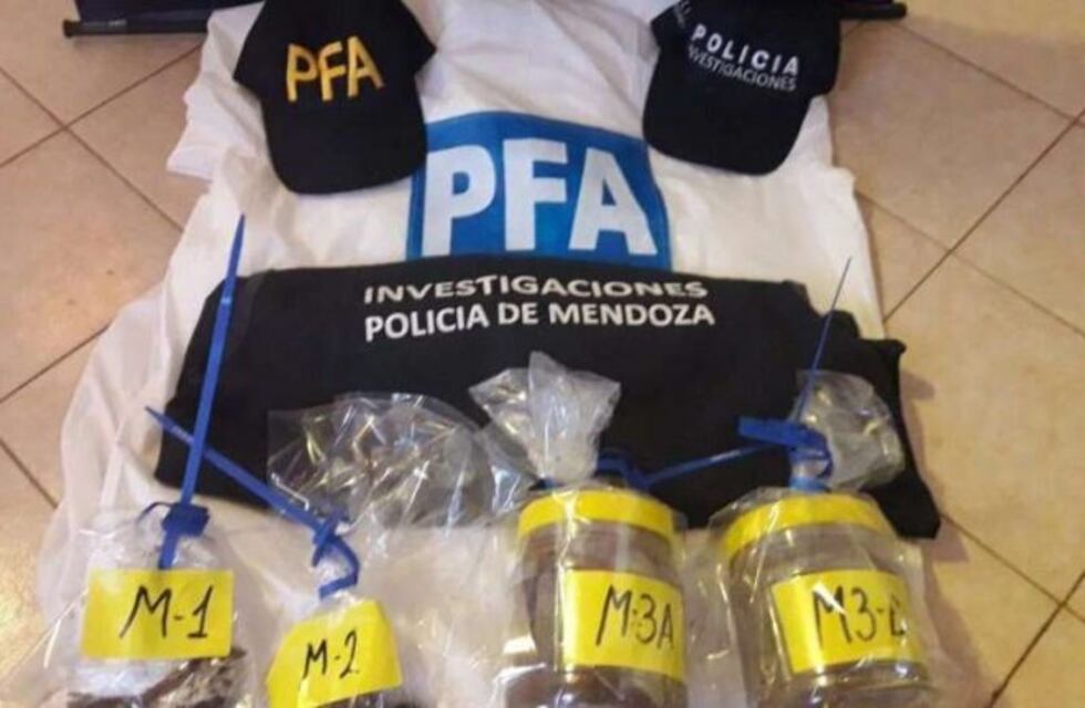 Los 34 cóndores de Malargüe fueron envenenados con carbofurano