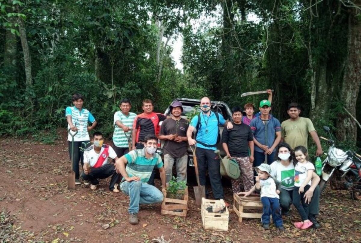 El trabajo de plantación se realizó el jueves en Iguazú\u002E