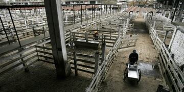 El kirchnerismo manifestó "preocupación" por el traslado del Mercado de Hacienda a La Matanza