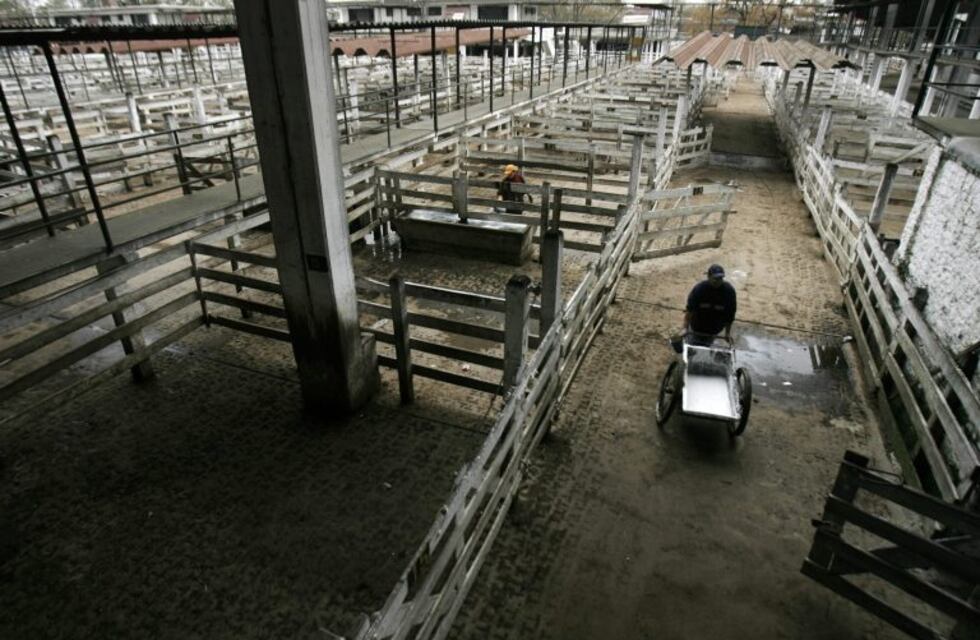 El kirchnerismo manifestó "preocupación" por el traslado del Mercado de Hacienda a La Matanza
