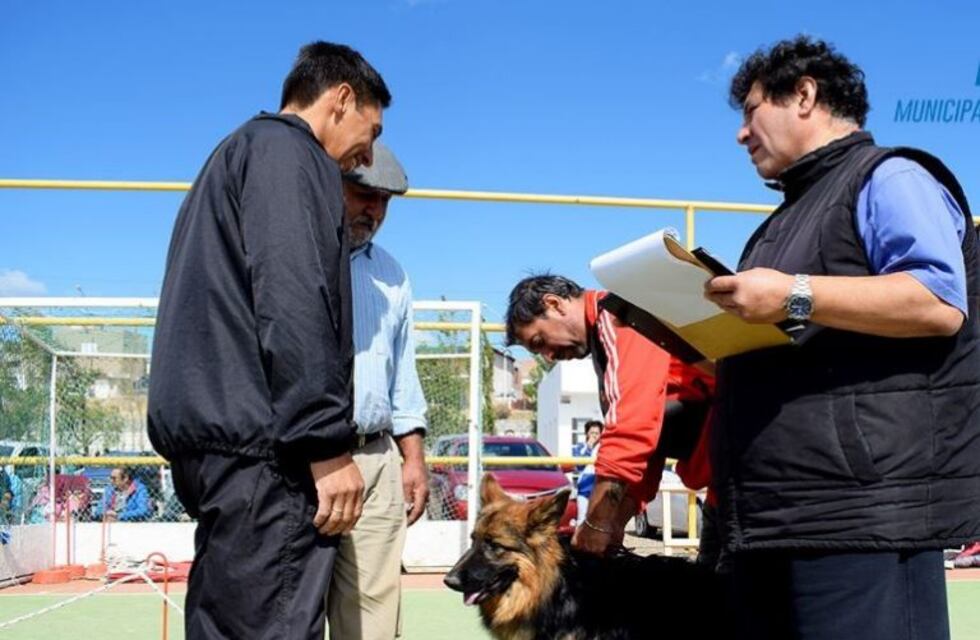 Torneo Nacional Austral de perros Ovejero Alemán