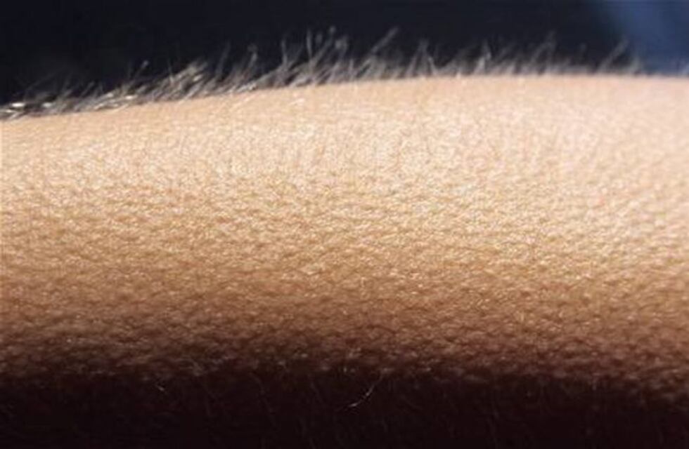 ¿Qué pasa cuando una canción te eriza la piel?