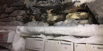 Carne podrida, ratas e insectos en un frigorífico en el barrio porteño de Flores\u002E (Clarín)