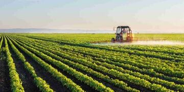 El Censo Nacional Agropecuario \