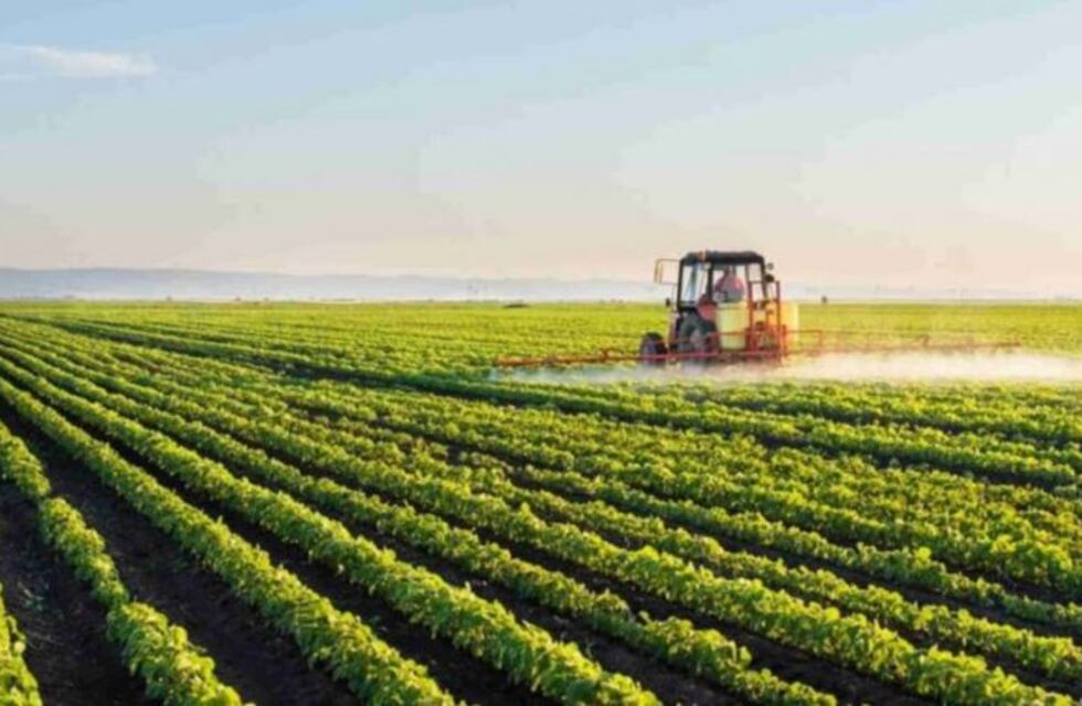 El Censo Nacional Agropecuario "permitirá establecer políticas para fortalecer al sector"