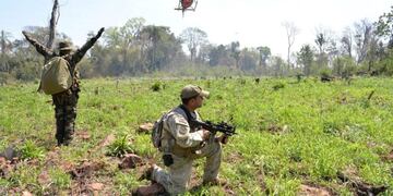 Efectivos de la SENAD y Gendarmería Nacional erradicaron plantaciones y campamentos de marihuana en Paraguay