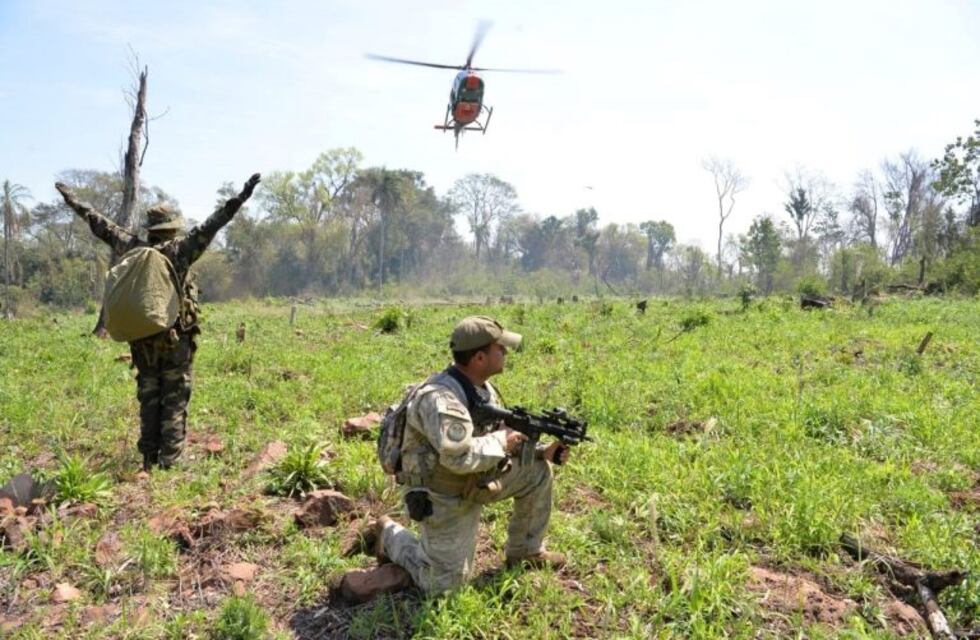 Erradican plantaciones y campamentos de marihuana en el Paraguay