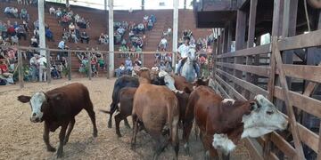 Montecarlo: la Fiesta del Ganadero será el 7 de noviembre