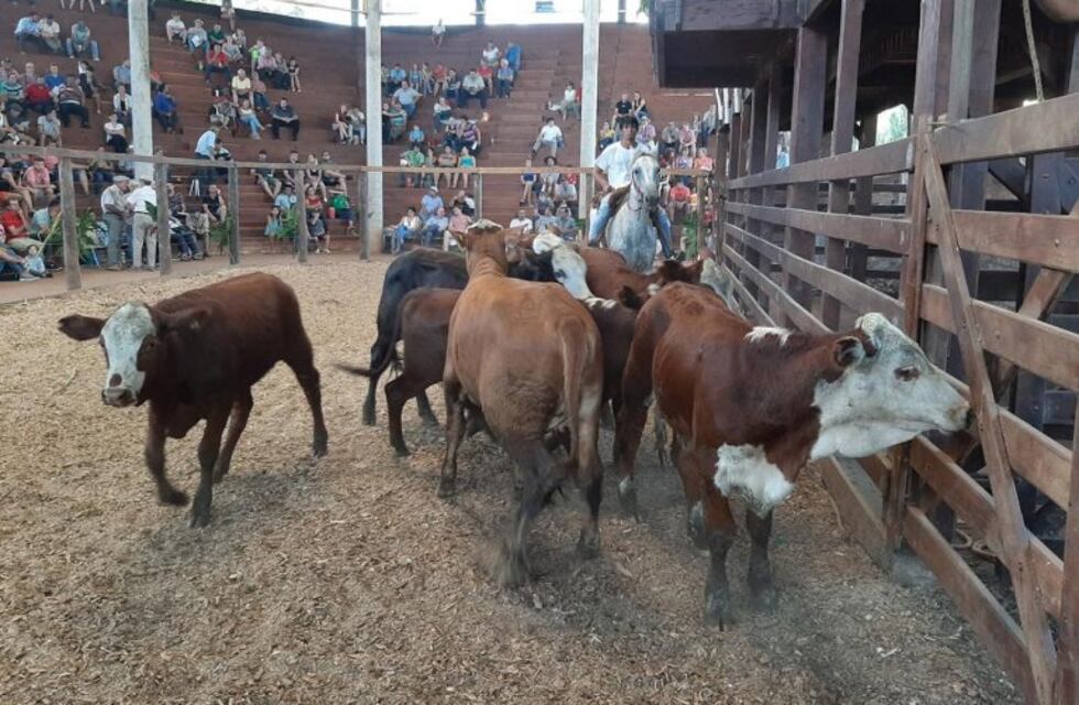 Montecarlo: la Fiesta del Ganadero será el 7 de noviembre