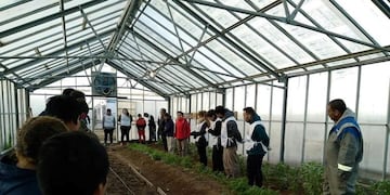 Koluel Kaike: escuela Nº 21 seleccionada por la Fundación Huerta Niño para su invernadero