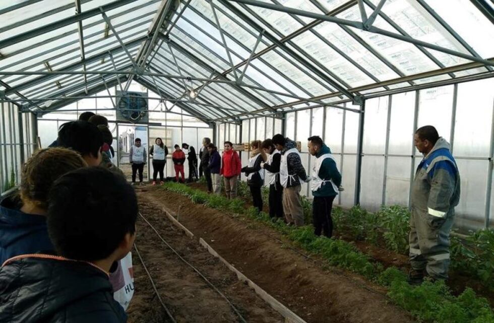 Koluel Kaike: escuela Nº 21 seleccionada por la Fundación Huerta Niño para su invernadero