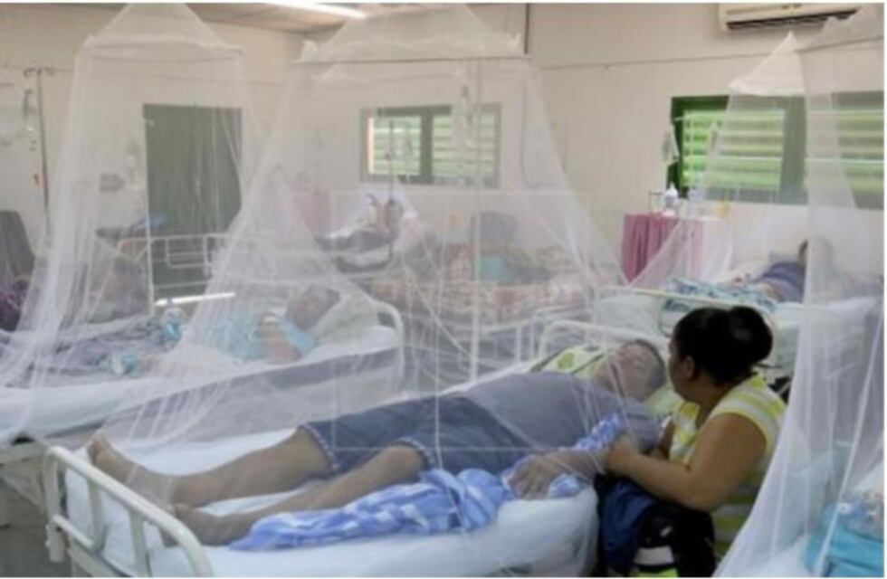 Dengue imparable en Paraguay obliga a tomar mayores recaudos