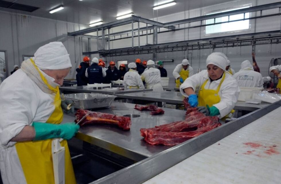 Claudio Vidal recorrió el lugar donde se instalará el primer matadero