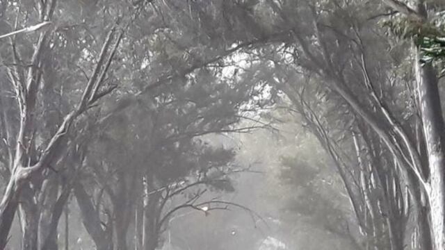 Prevén viento con fuertes ráfagas para este miercoles en San Rafael y Alvear. Imagen de archivo.