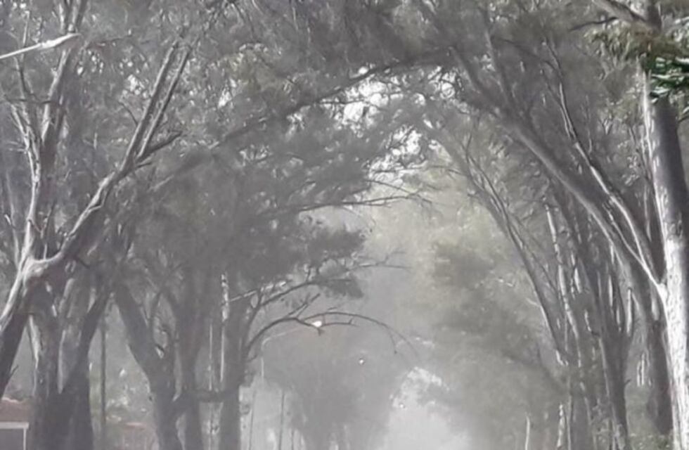 Alerta por vientos con ráfagas de intensidad para este miércoles