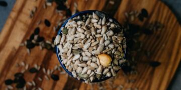 Comer semillas\u002E (UNSPLASH)