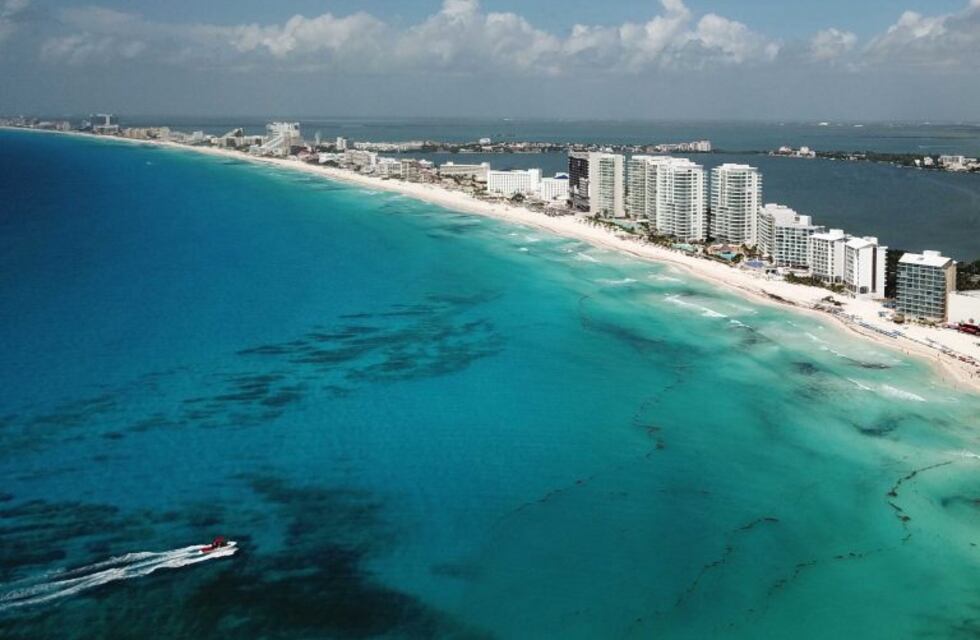 Con el caribe vacío, animales en riesgo de extinción fueron vistos en la playa y hoteles de México