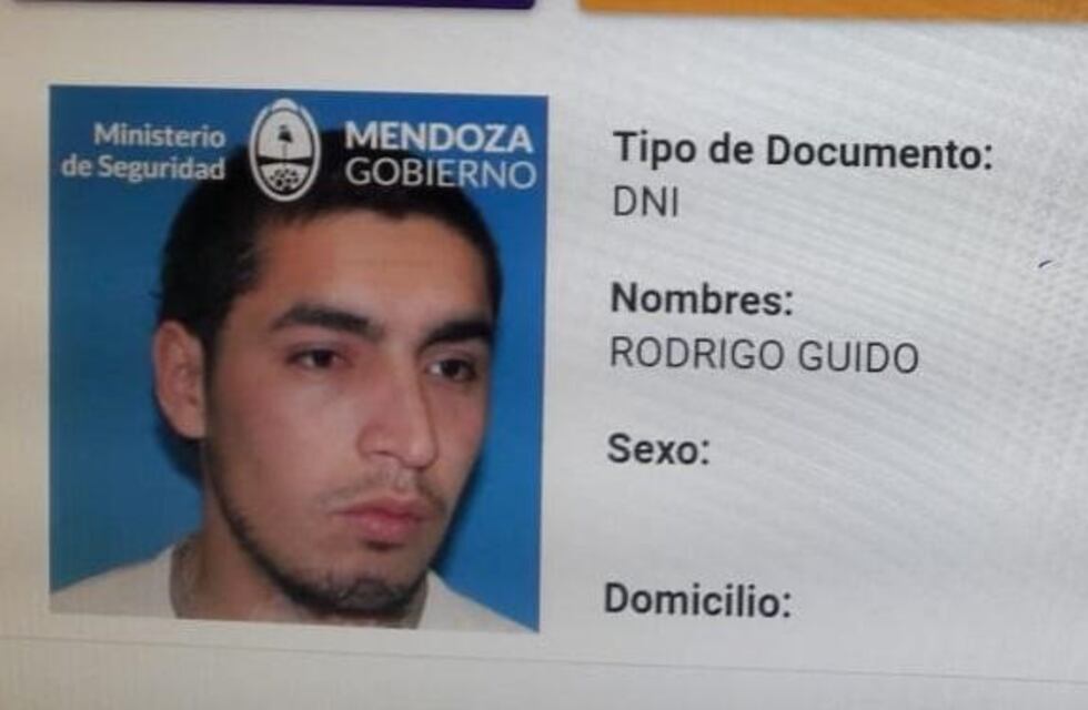 Intensa búsqueda del militante radical que agredió a la candidata del PJ